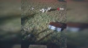 Bursa'da kediyi kurtarmak isterken düştüğü derede mahsur kaldı