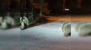 Başkan Aktaş, Gaziakdemir sakinleriyle buluştu