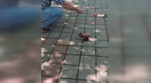 Aracın çarptığı genç kız yaralandı...Kaza anı kamerada