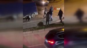 Bursa'da dört dana şehri birbirine kattı