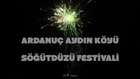 Ardanuç Aydın Köyü Söğütdüzü Festivali