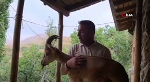 Tekirdağ'da kirazda kalite yükseldi: 3 bin ton rekolte beklentisi