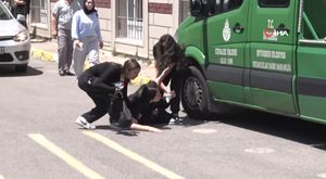 Alışveriş merkezinde köpek kavgası: Güvenlik görevlisi müşteriyi ısırdı