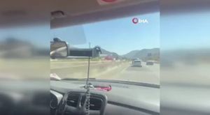 Bursa Uludağ’da aç kalan ayı yerleşim alanına indi: