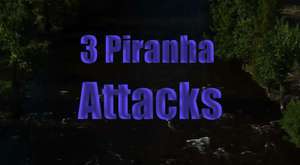 Piranha Attacks 