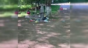 80 dönüm alan küle döndü