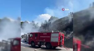 Celal Şengör korkutan Bursa açıklaması! Deprem...
