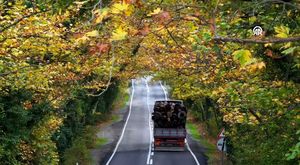 Hatay İskenderun'da korkunç cinayet! 20 yaşındaki genç, “içindeki şeytanı çıkarmak için” annesini boğarak öldürdü