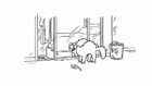 Mirror Mirror - Simon`s Cat 