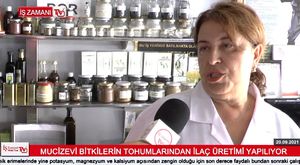 Antalya Gazipaşa’da Yerli ve Milli Avokado Yağı Üretimi Ekonomiye Kazandıracak