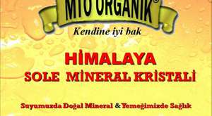 MTO Organik Himalaya Kristal Tuzu Semineri