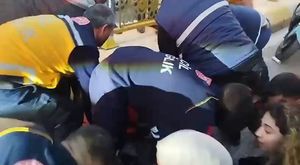 3 YENİ AYÇİÇEĞİ ÇEŞİDİ GELİŞTİRİLDİ