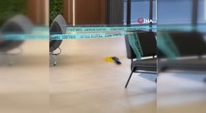 Adana'da genç kızlar tekme ve yumruklarla kavga etti