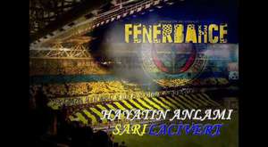 Fenerbahçe'M