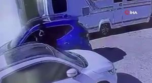 Bursa'da 8 yaşındaki Ecrin hayvan pazarının en küçük satıcısı