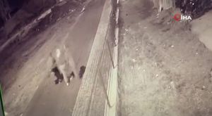 KONTROLÜ KAYBEDEN ARAÇ TIRA ÇARPTI: KAZA KAMERADA