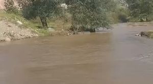 Bursa'da muhtarlığa gelen vatandaşları şiirle karşılıyor