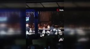 Aç kalan domuzlar Nilüfer Kent Ormanı'nda yiyecek aradı