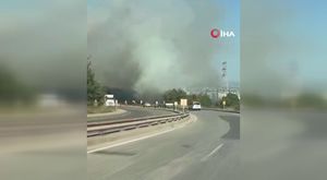 1 dönümle başladılar, bin dönüme ulaştılar! Bursa’da şeker fasulye bereketi