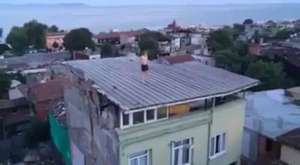 Bonzai İçip Çatıdan Atlayan Genç