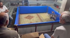 Kocaeli Belediyesi, Babalar Günü’nü unutulmaz bir video ile kutladı