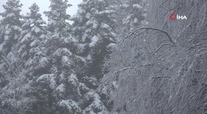 Bursa'da dağda mahsur kalan paraşütçüler kurtarıldı