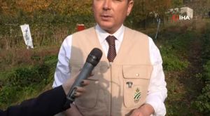 Seyir halindeki tıra yaklaşıp içindeki koyunları çaldılar