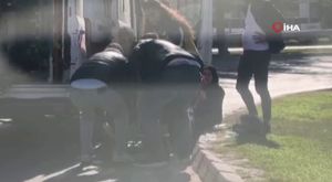 Bursa'da başıboş köpek dehşeti! Canını zor kurtardı...