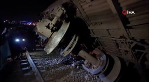 Bursa Hayvanat Bahçesi’nde penguen ailesine 2 yeni üye