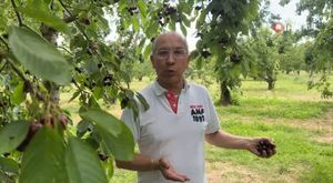 Bursa'da yolunu şaşıran oyuncu Erdal Özyağcılar’a mavi yumurta süprizi!