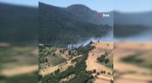 Bursa'da park halindeki kamyon alevlere teslim oldu!