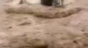 Engelliye bunu da yaptılar