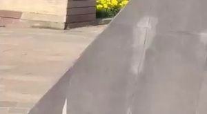 Kayınpeder, damadını ve kardeşini vurdu
