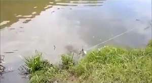 Ok ile balık avlamak - Dailymotion Video