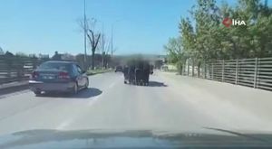 Bursa'da fırtınanın bilançosu ağırlaşıyor! Uçan çatı otobüsün üzerine düştü, ağaraçlar devrildi... (1)