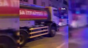 Kış geldi ama Bursa'daki ayıların uykusu yine gelmedi