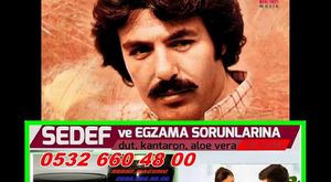 FERDİ TAYFUR*HASRET SANCISI