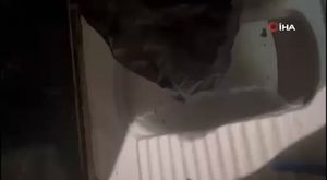 Eyüpsultan'da bir kadını öldüren şahıs, ardından başka bir kadının kafasını kestikten sonra surlardan aşağı attı