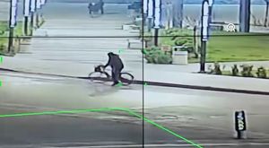 Bursa'da sıcaktan bunalan hayvanların buzlu meyve keyfi