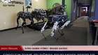 Evden Haber Video1: Google'ın Tekme Atıldığında Devrilmeyen Robotları 