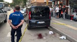 Bursa'da yunus balıklarının şovu kameralarda