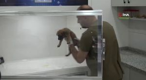 Kadınları tek tek durdurup o uygulamayı yüklettiler