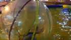 Live 2013-08-08 21:47