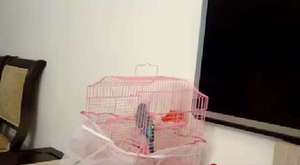 Canlı Yayın - damlauzay - 2016-02-11 17:46