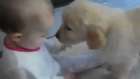 The baby and puppy who first met 
