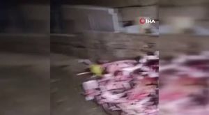 Meral Tekin tutuklandı!