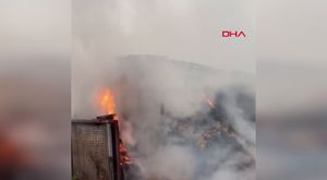 Bursa'da 2 günde 4 motosiklet çalan hırsız, polisin çabukluğu ile yakaladı