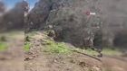 2 PKK’lı terörist böyle teslim oldu