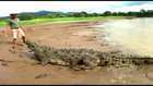 Shocking Alligator Video