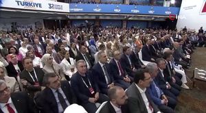 Gemlik Körfezi'nde yunuslardan görsel şölen